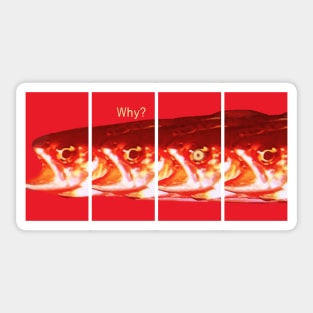 Why? Sticker